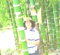 Kaye Byron Bamboo